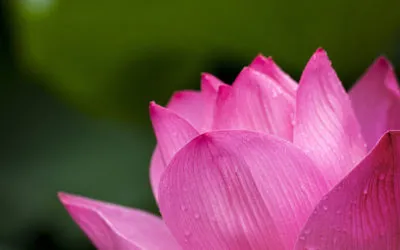 Workshop: Die Macht der Aufmerksamkeit – Hier und Jetzt am 21. Juni 2019