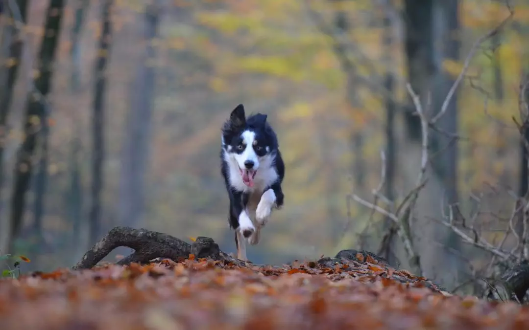 Ich bin ab 2. November 2020 wieder für Sie da!
