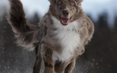 COVID-19 Update: Ich bin wieder zurück!